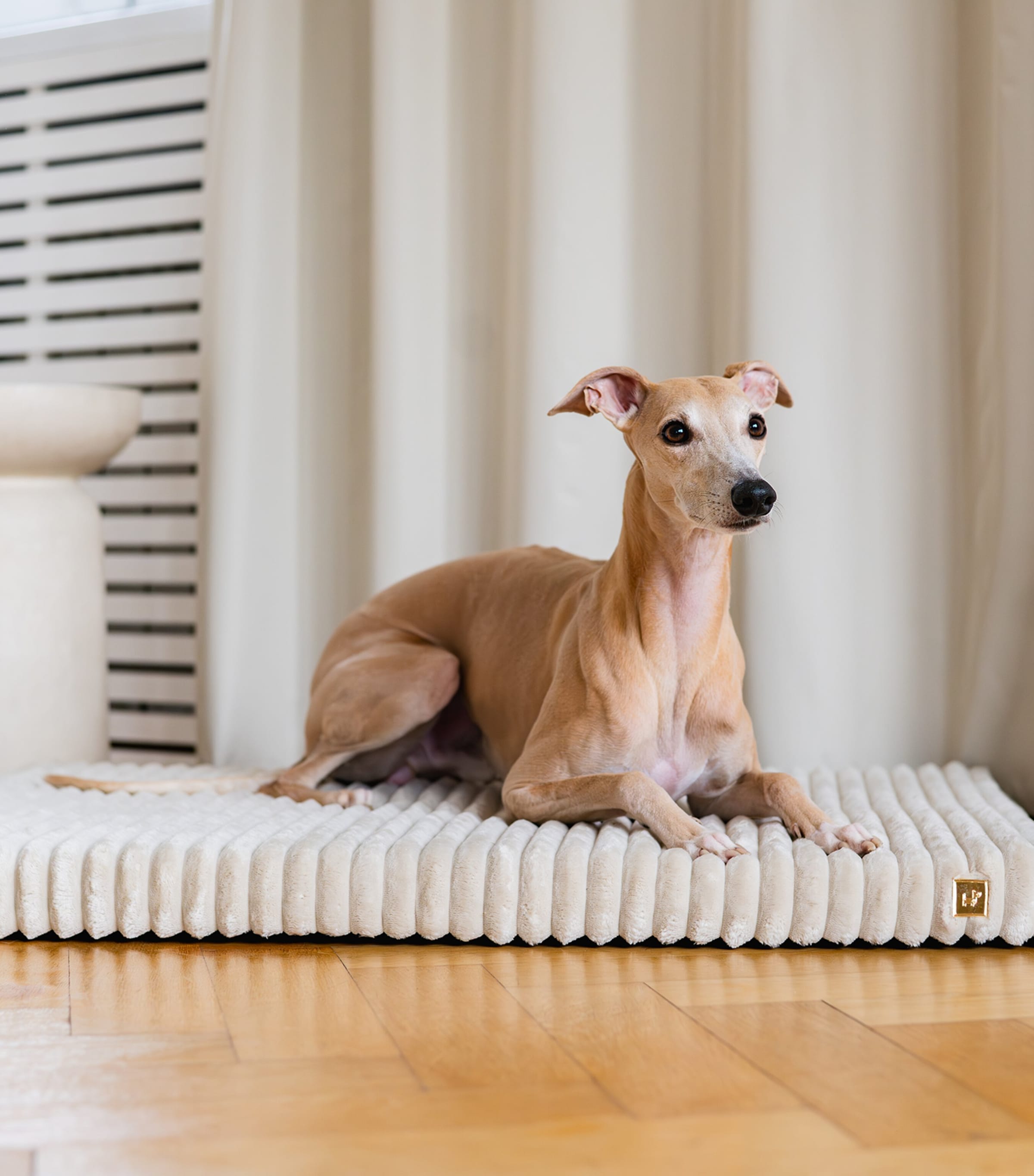 Medium Organic Orthopaedic Dog Mattress BEIGE Image 6