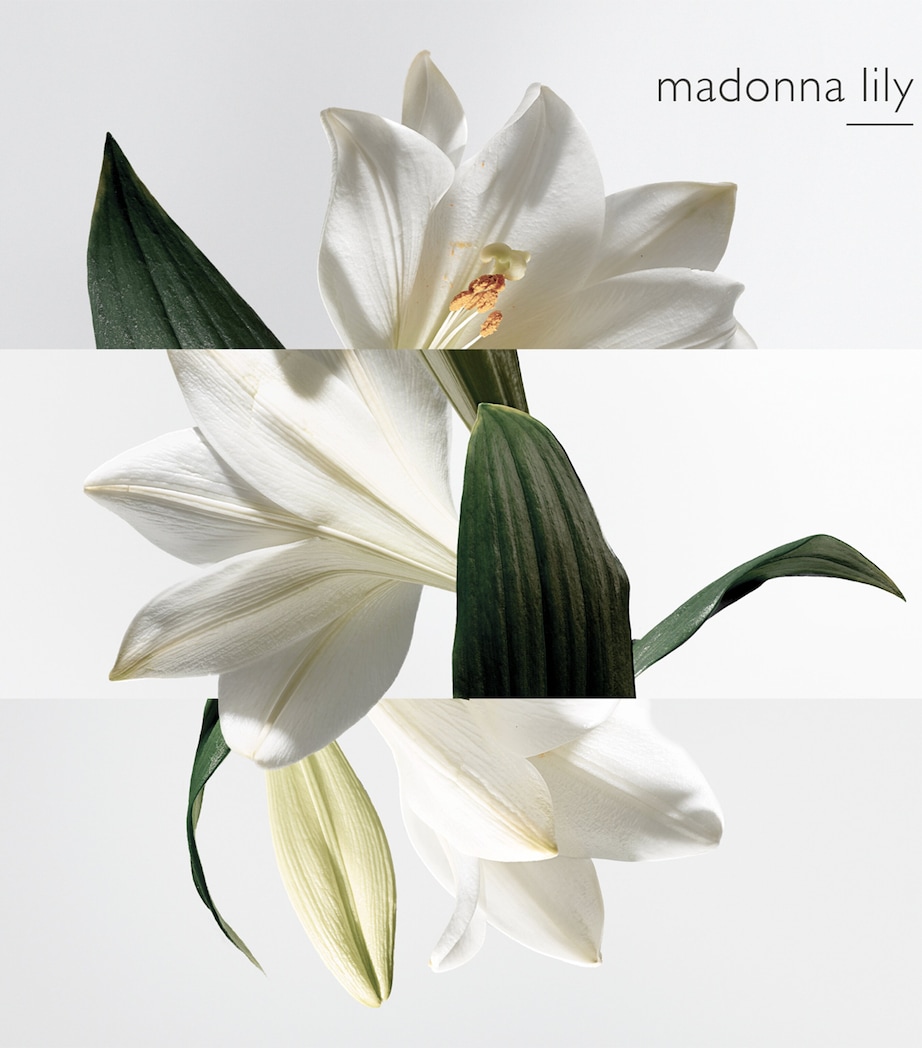 Un Jardin Sur La Lagune Eau de Toilette (50Ml) NO COLOUR Image 5