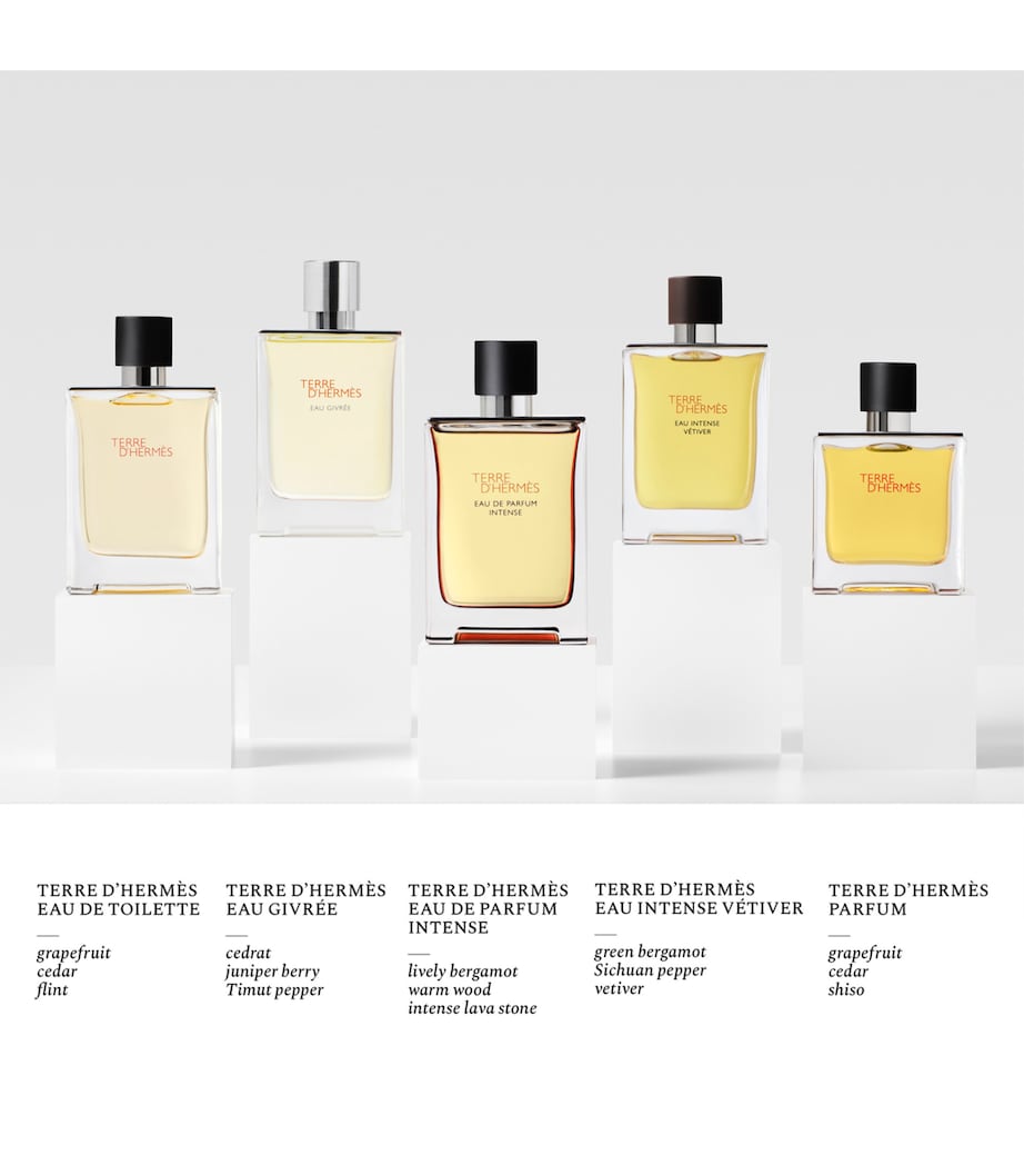 Terre d'Hermès Eau de Toilette Travel Spray and Refill Set NO COLOUR Image 2