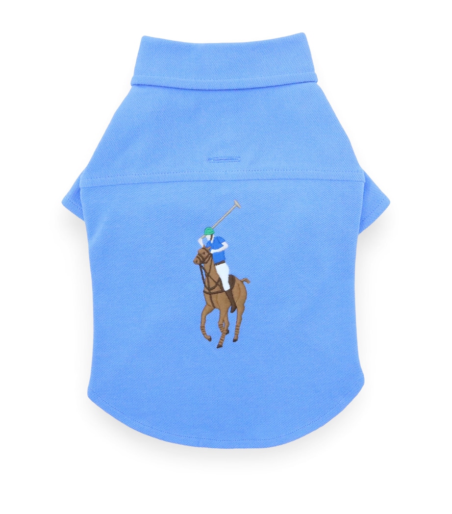 Mesh Cotton Polo Pony Dog Shirt (Medium) ISLAND BLUE Image 1
