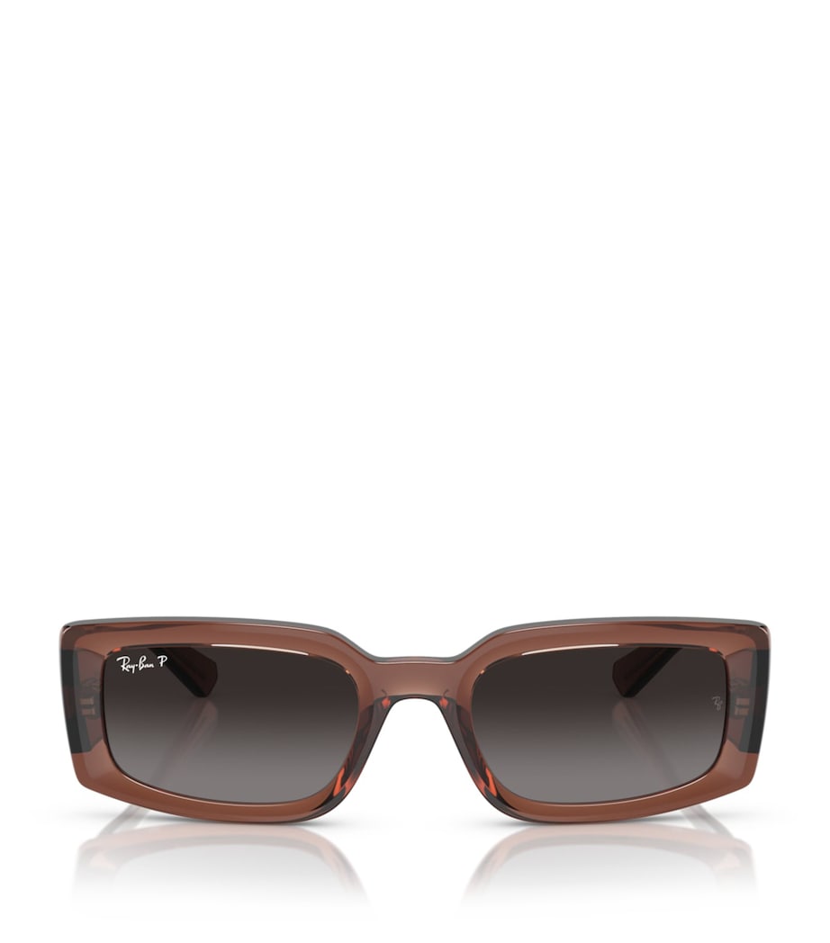 Ray-Ban Acetate 0RB4395 Sunglasses Image 1