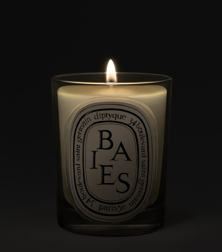 Diptyque Baies Candle (190g) Image 2