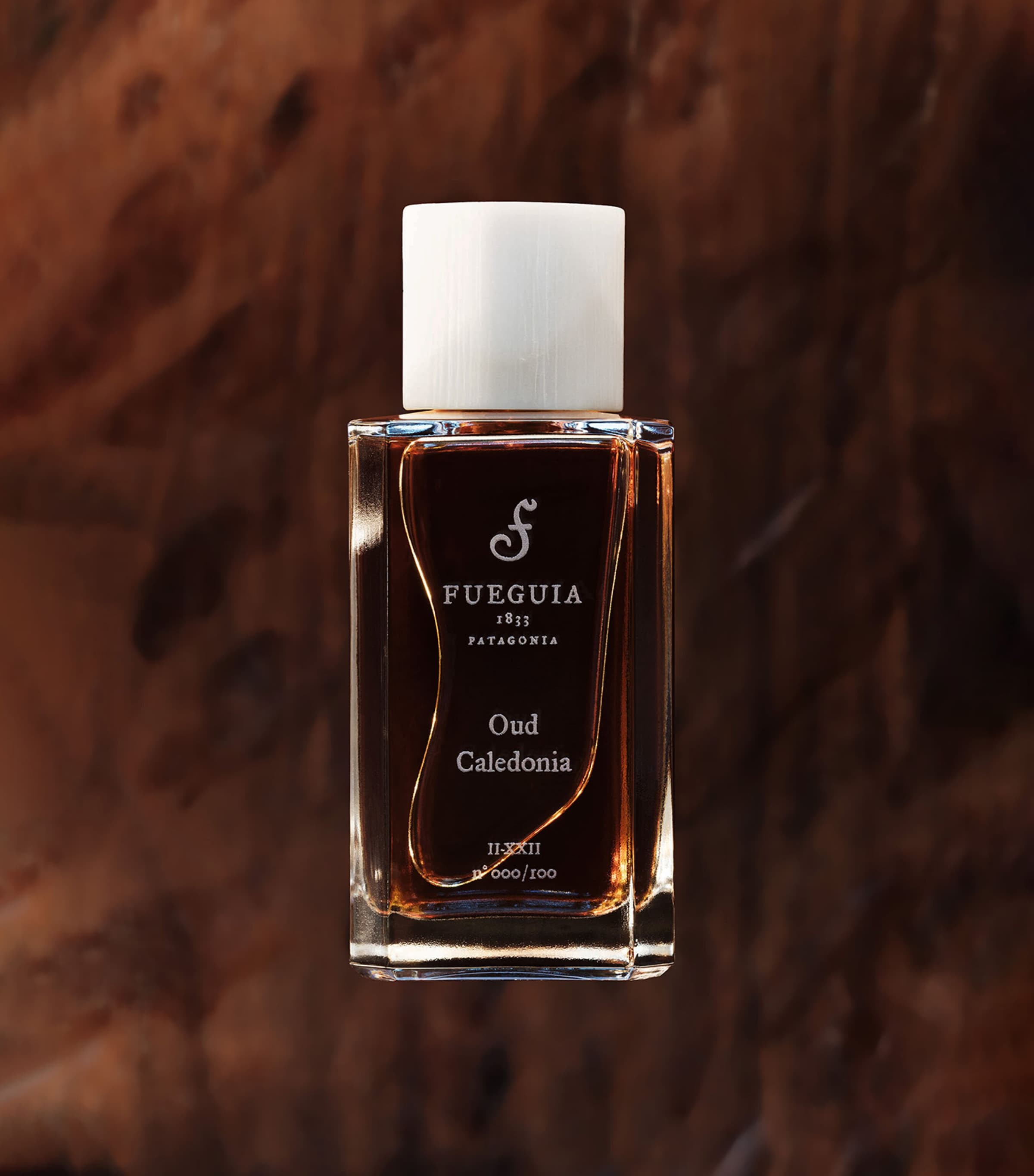 Fueguia 1833 Oud Caledonia Perfume (100ml) Image 2