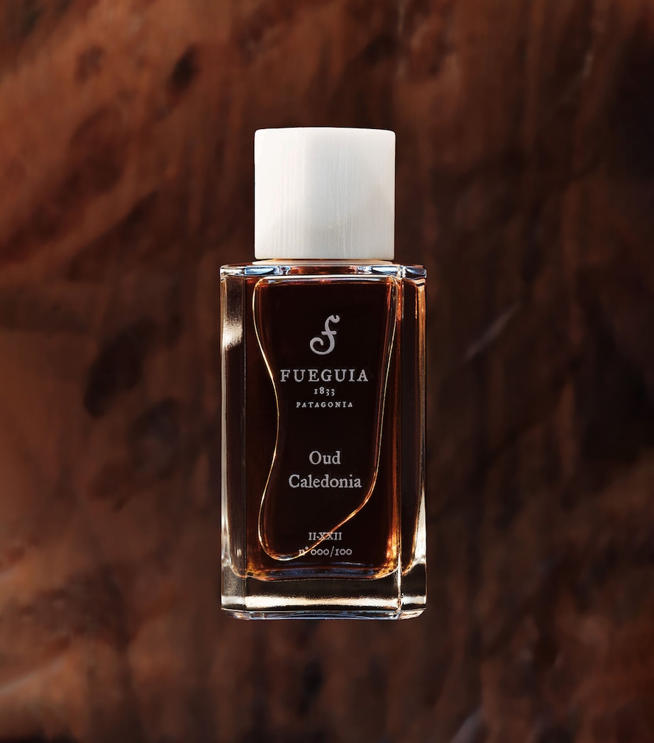 Fueguia 1833 Oud Caledonia Perfume (100ml) Image 2