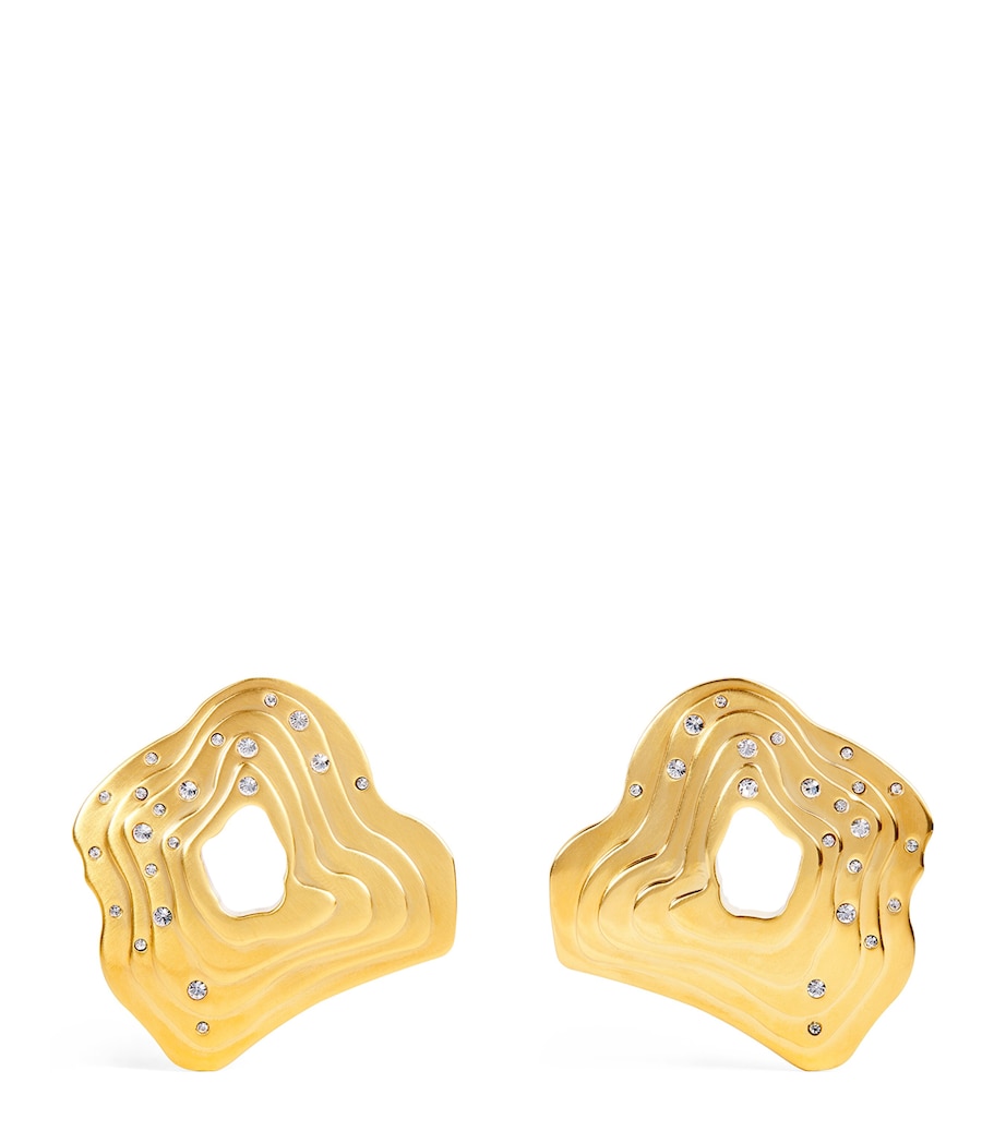 Falak Earrings BRASS Image 1