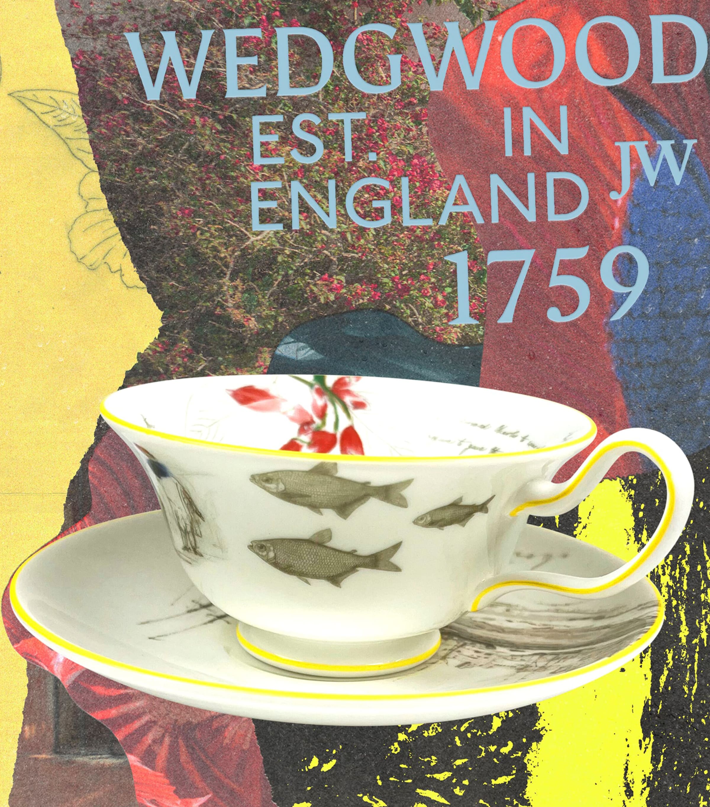 Set of 3 Voyage of the Beagle Uruguay Plates, Teacups and Saucers MULTI Image 3