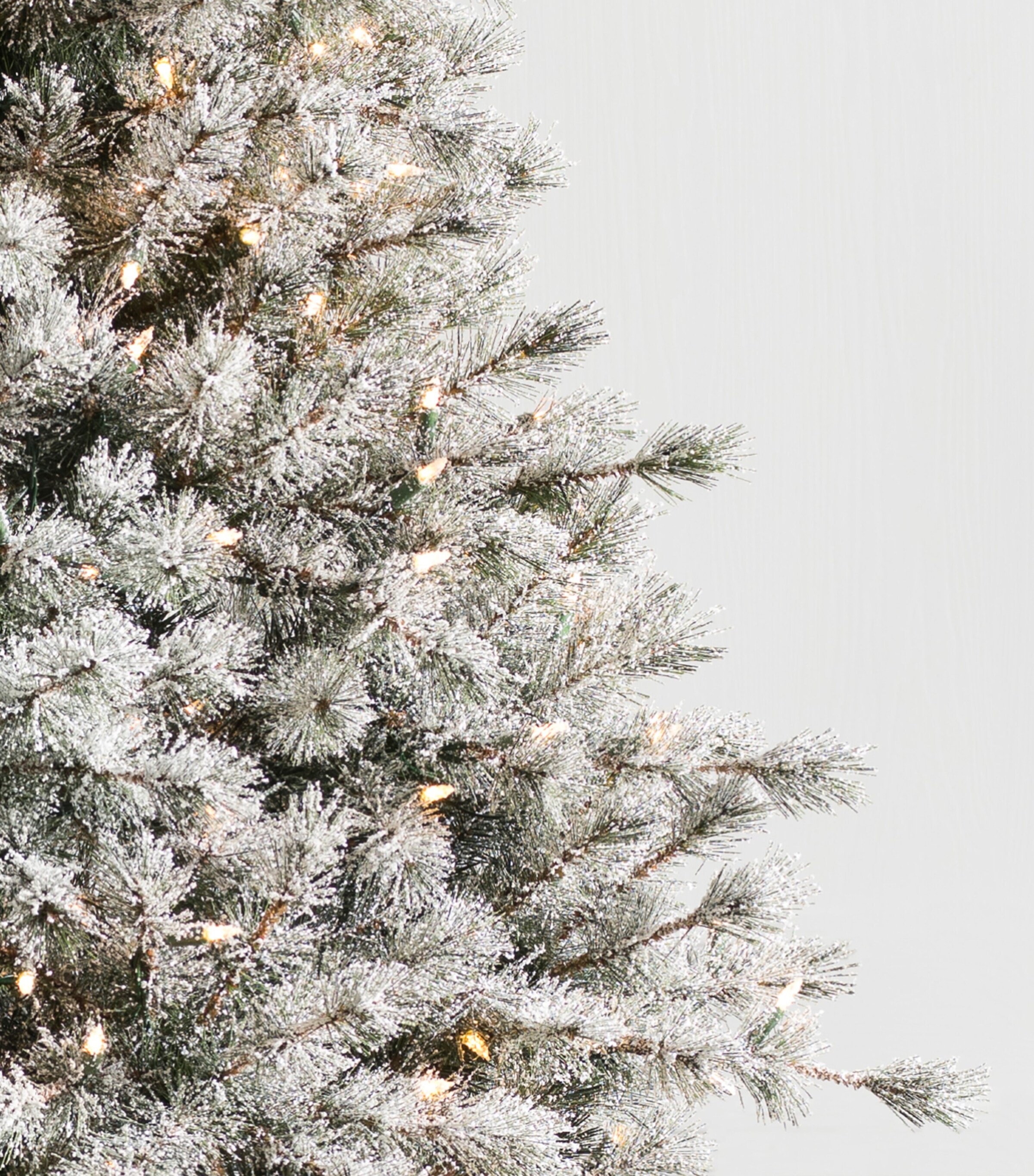 Frosted Sugar Pine Tree (7ft) FROSTED Image 2