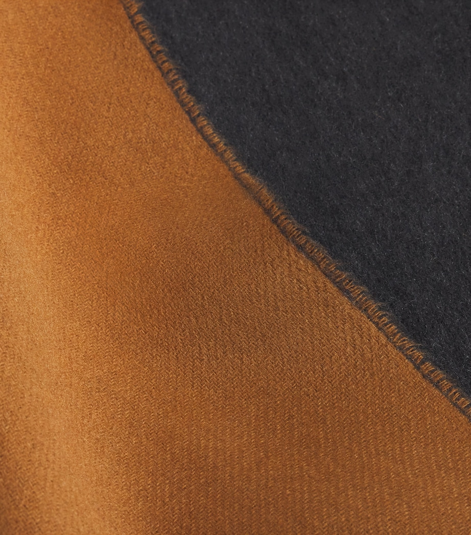 Cashmere Reversible Two-Tone Scarf RU7649 VICUNA/CHRCL Image 4