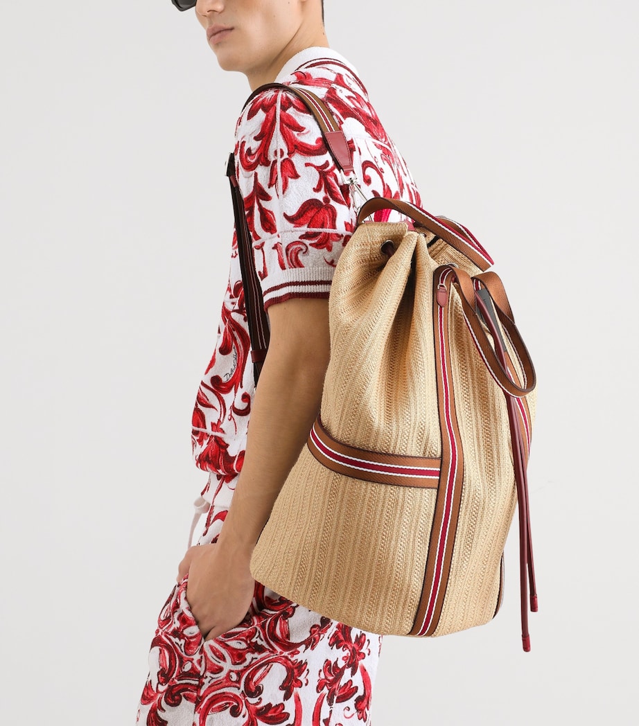 Dolce&Gabbana Raffia-Leather Essenza Backpack Multicolour Image 2