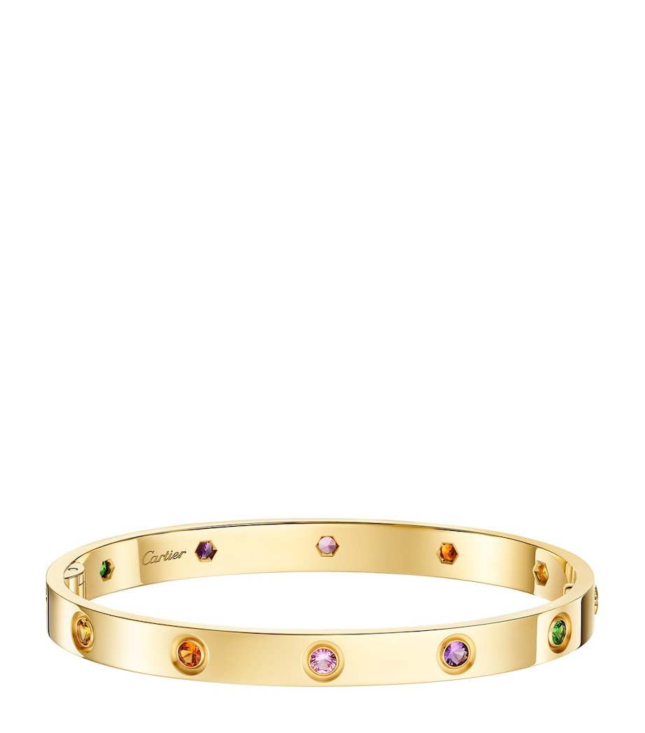 Cartier Yellow Gold and Gemstone LOVE Bracelet Yellow Gold Image 1
