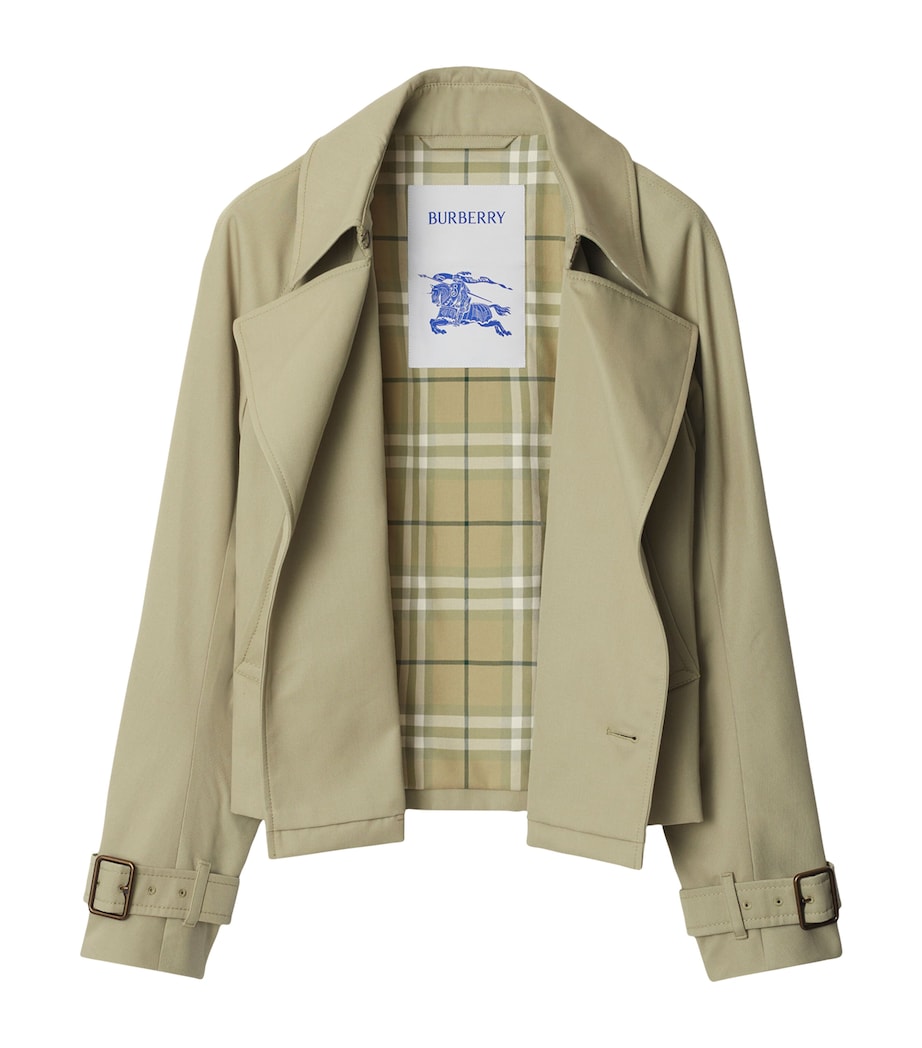 Slim Trench Jacket SKYLARK Image 5