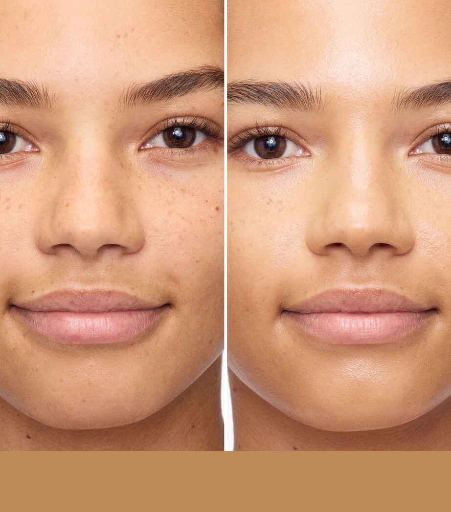 Tinted Moisturizer Natural Skin Perfector 4N TEAK? Image 3