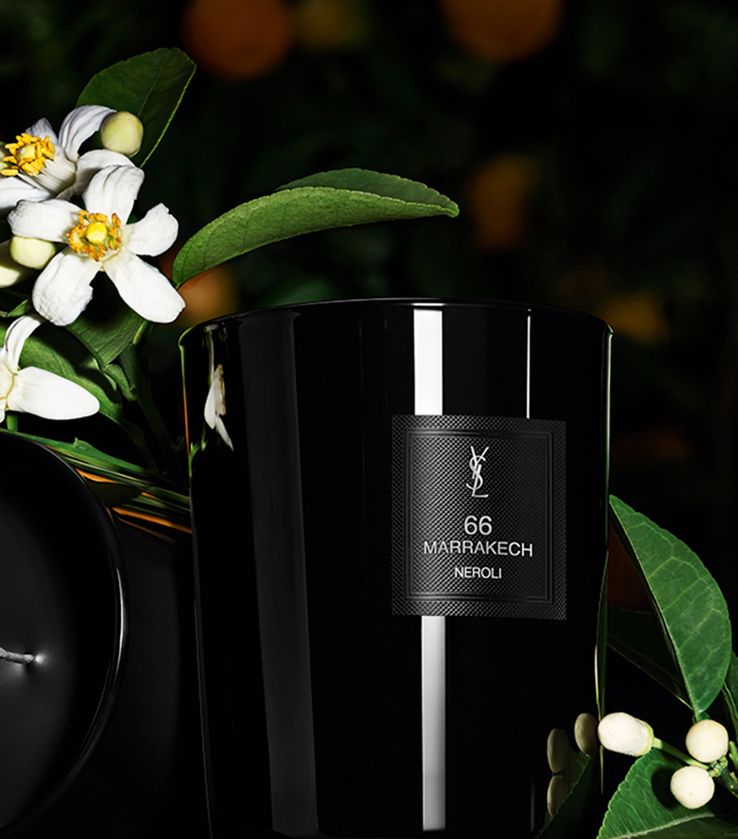 66 Marrakech Candle (220g) NO COLOUR Image 3