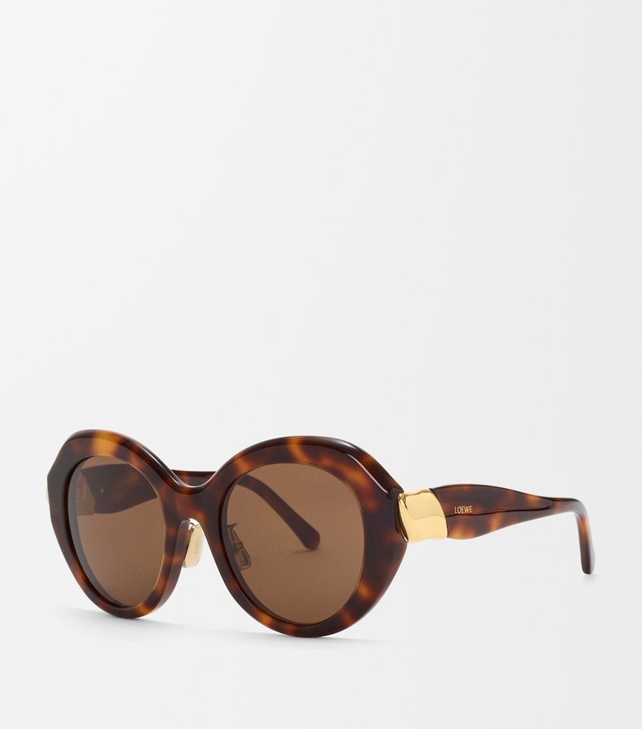 LOEWE Coil Butterfly Sunglasses Havana Image 2