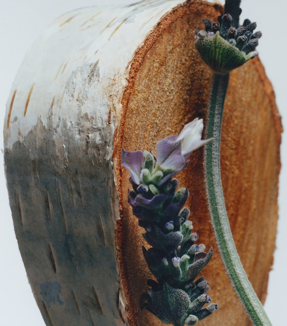 Silver Birch & Lavender Cologne (30ml) NO COLOUR Image 3