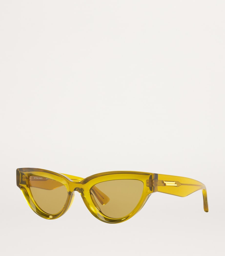 Injected 06J000413 Sunglasses 1800Y1 Image 2