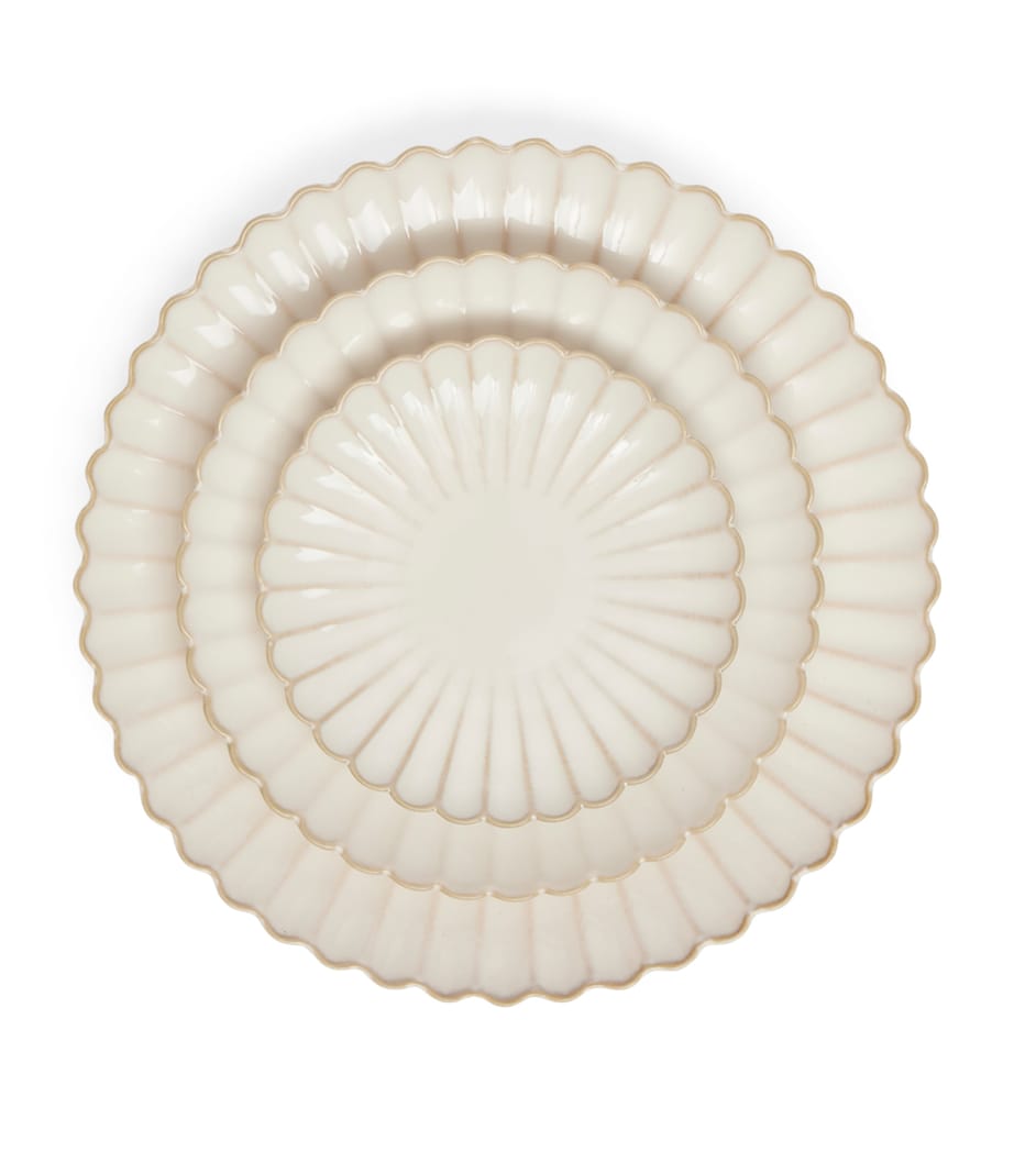Set of 4 Shell Starter Plates (22cm) CREAM Image 3