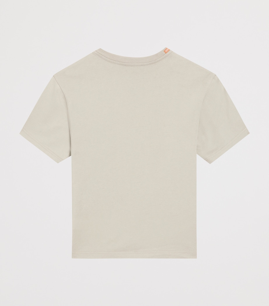 Cotton Compass Oversized T-Shirt (8-12 Years) M0633-DARK PARC Image 2