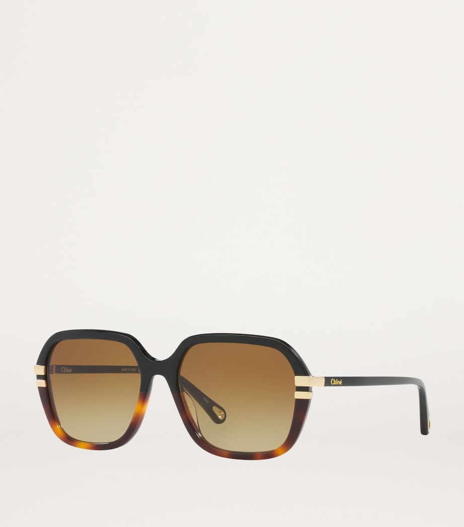 Acetate 06N000513 Sunglasses 1100D1 Image 2