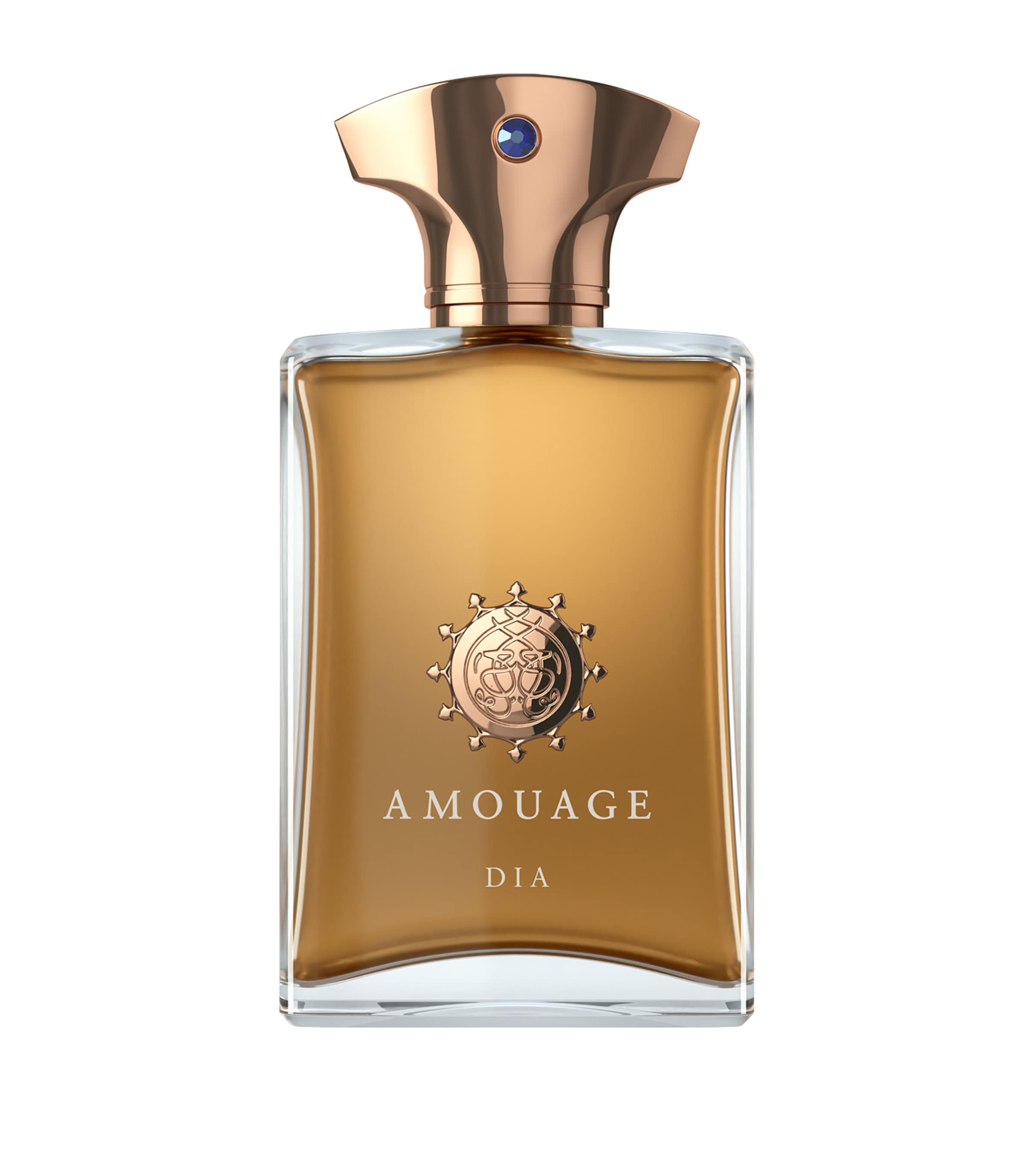 AMOUAGE DIA MAN EAU DE PARFUM 