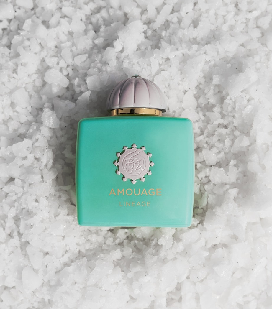 Lineage Eau de Parfum (100ml) NO COLOUR Image 4