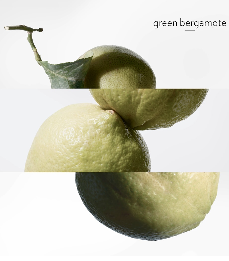 Eau de Basilic Pourpre Eau de Cologne (100ml) NO COLOUR Image 4