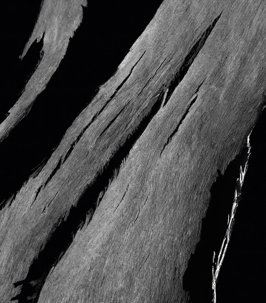 L’Interdit Eau de Parfum (80ml) NO COLOUR Image 5