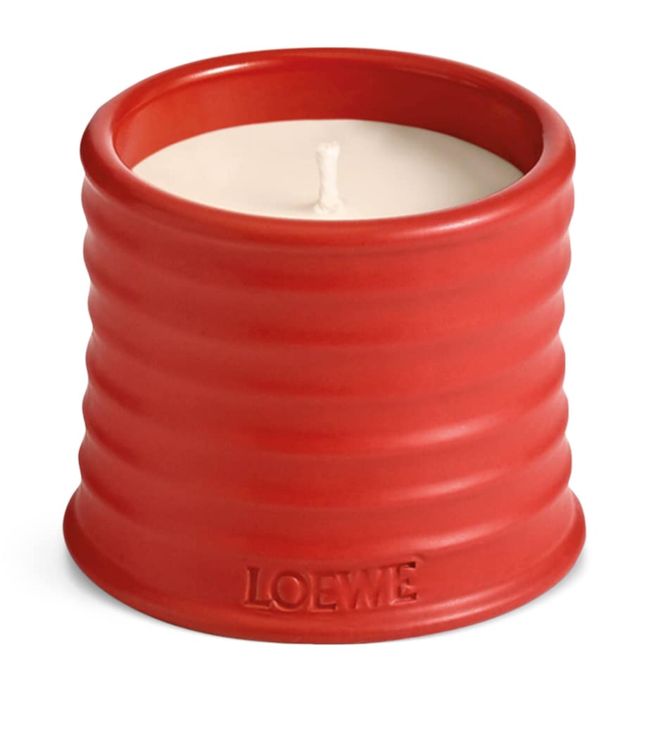 Small Tomato Leaves Candle (170g) NO COLOUR Image 1