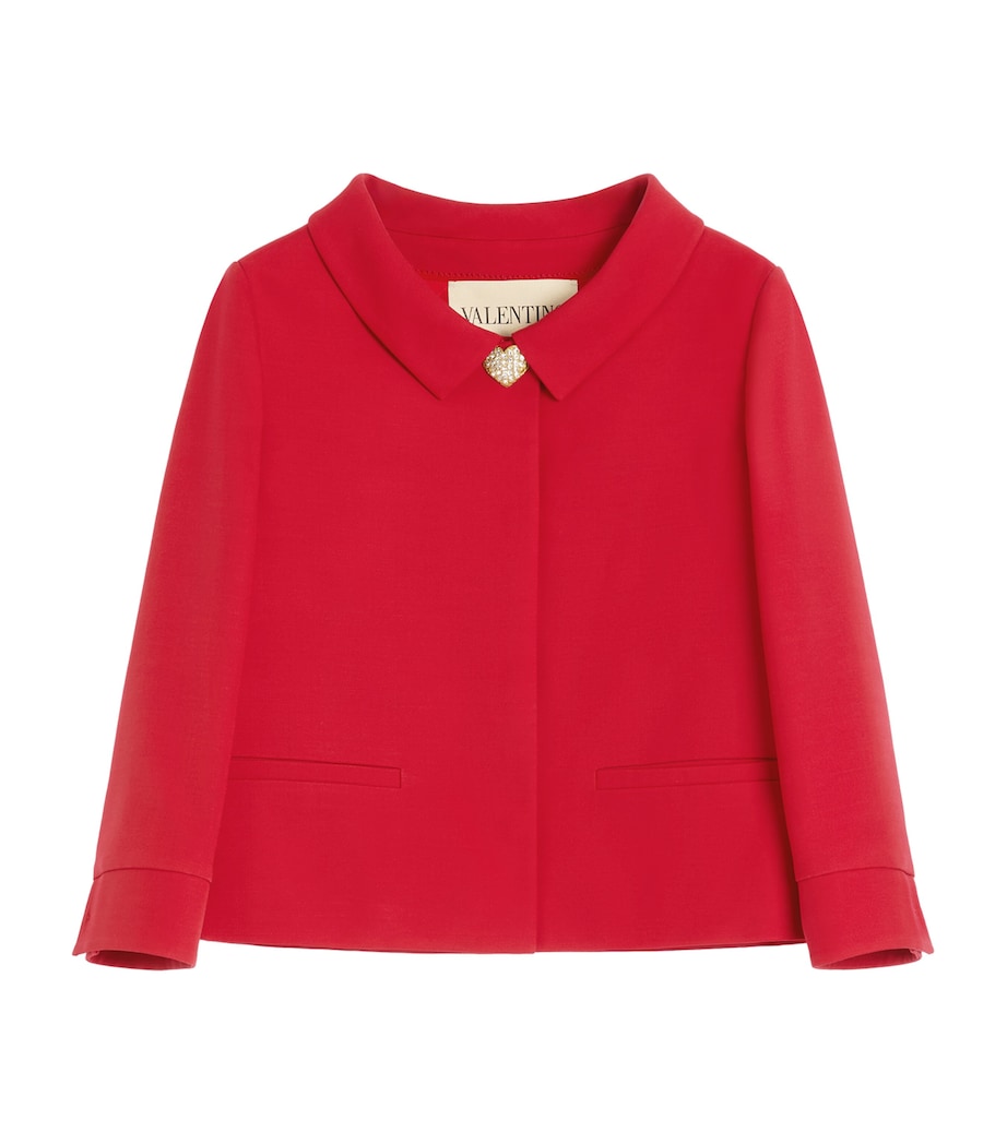 Wool-Silk Embellished Jacket R9M Image 1