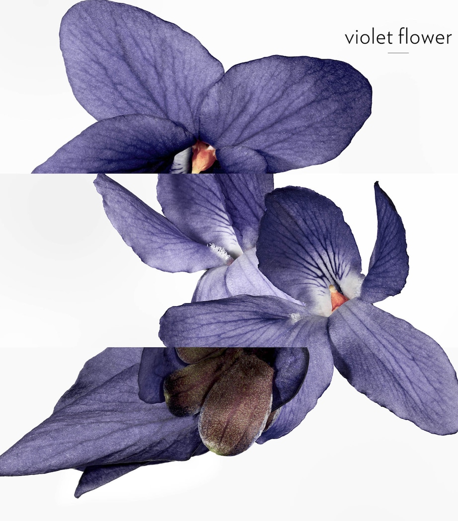 Hermessence Violette Volynka Eau de Toilette (200ml) NO COLOUR Image 7