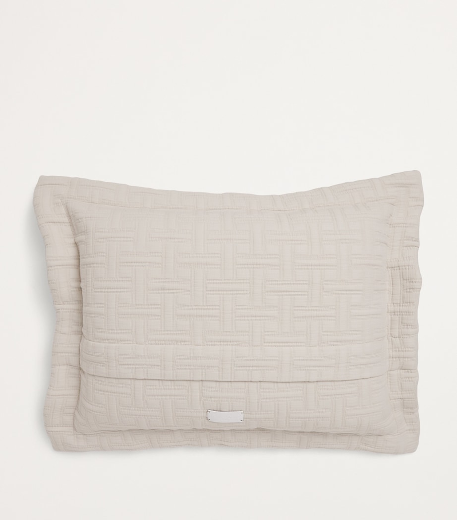Peter Reed Embroidered Kengo Oxford Cushion (60cm x 45cm) Neutral Image 2