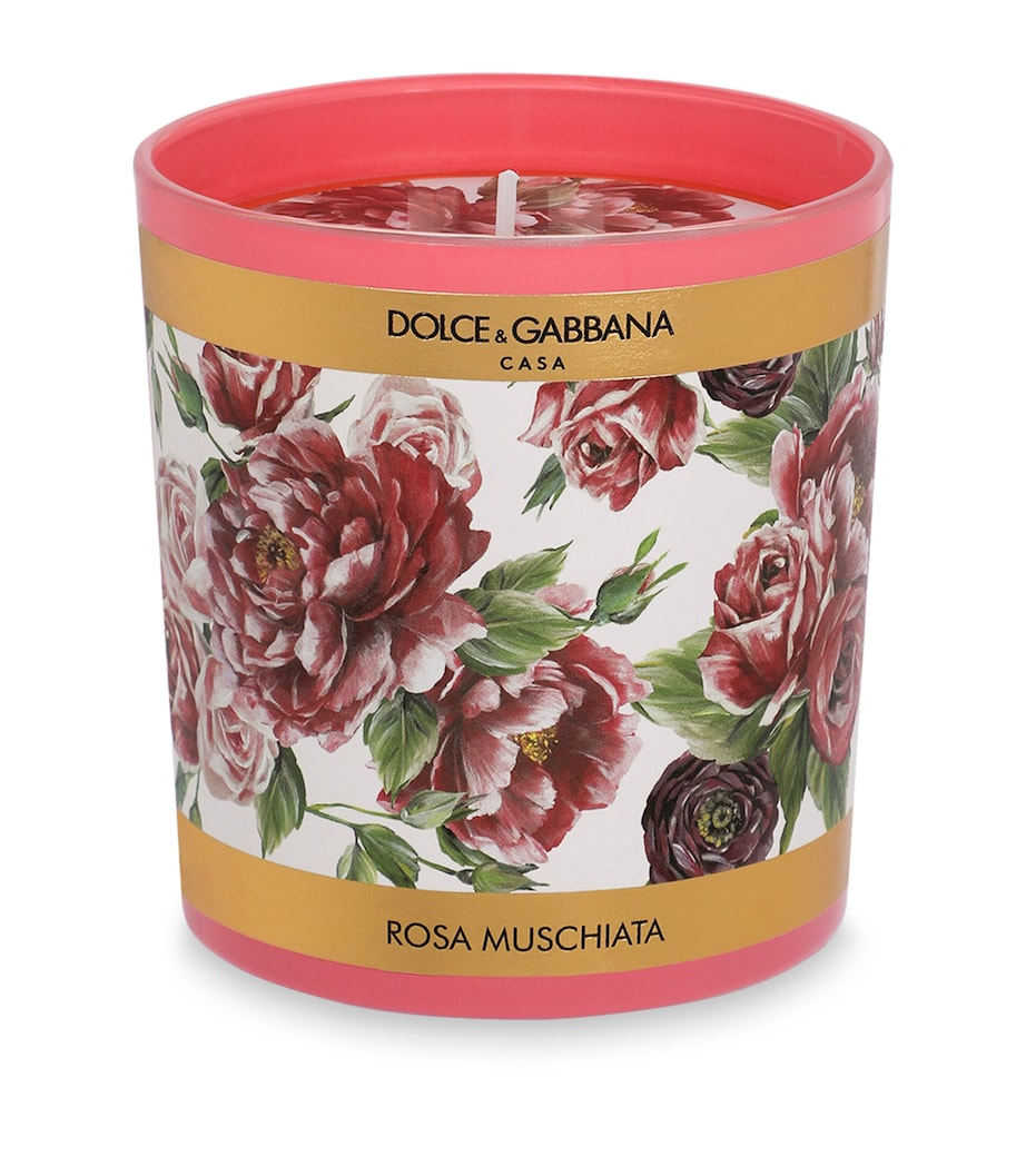 Dolce&Gabbana Casa Rose Candle (250g) Rosa Muschiata Image 1