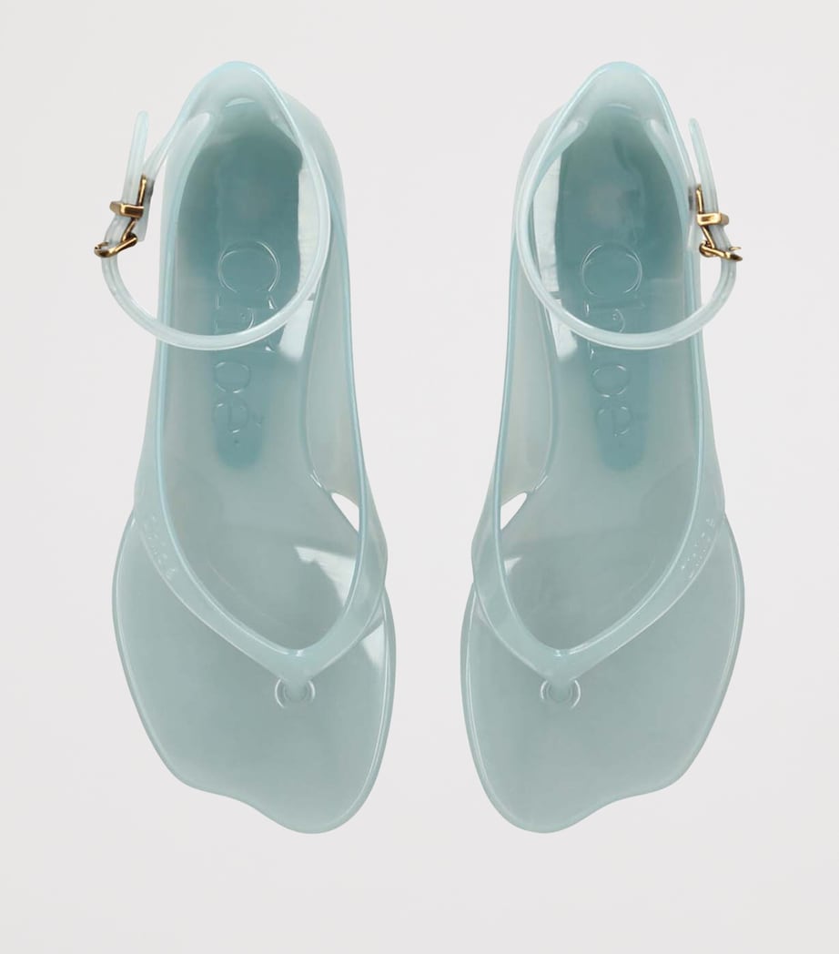 Chloé Jelly Heeled Sandals 25 Teal Image 4