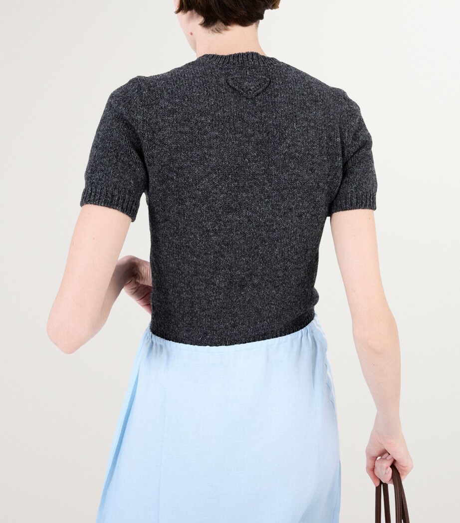 Cashmere Short-Sleeve Sweater F0480 Image 4