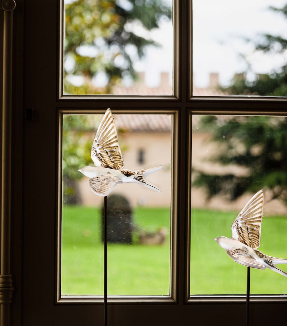 Crystal Hirondelles Wall Ornament INCOLORE Image 2