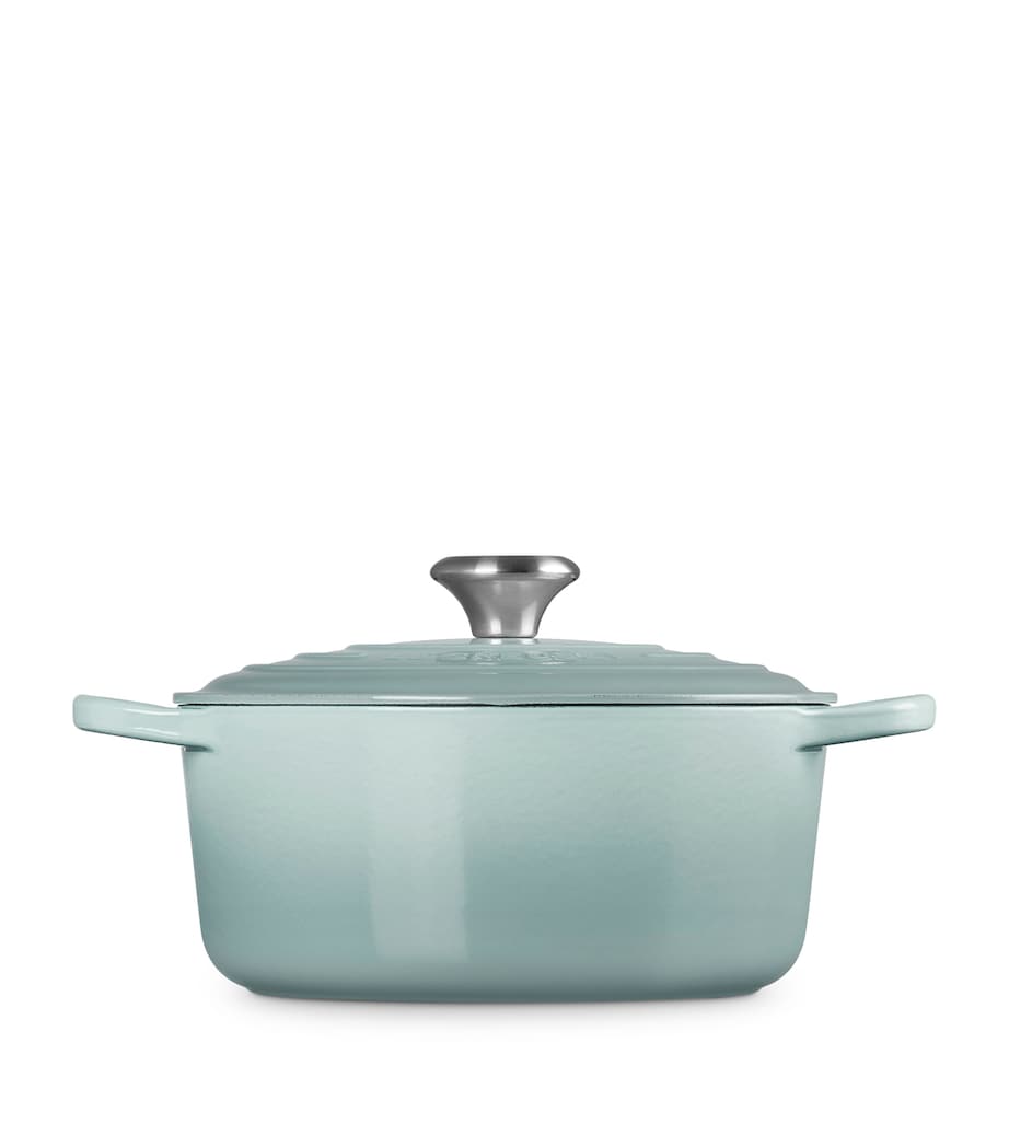 Cast Iron Round Casserole Dish (24cm) SEA SALT Image 2