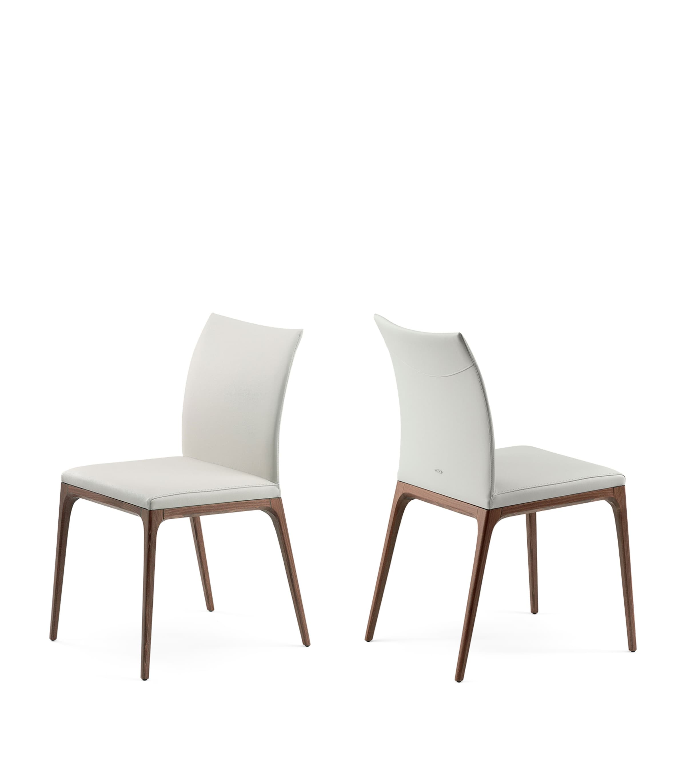 Cattelan Walnut and Leather Arcadia Dining Chair | Furniture | Chairs & Stools | Dining Chairs