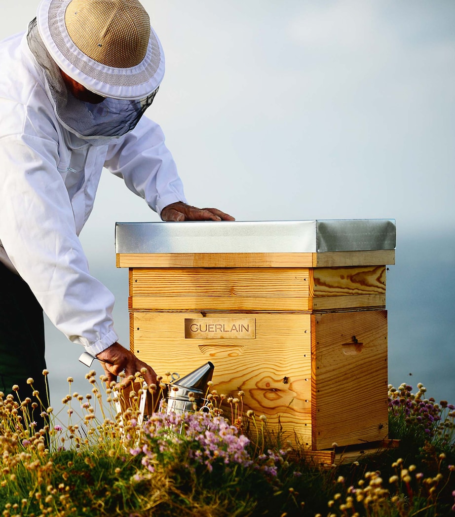 Abeille Royale Cleansing Oil Anti-Pollution (150ml) NO COLOUR Image 4