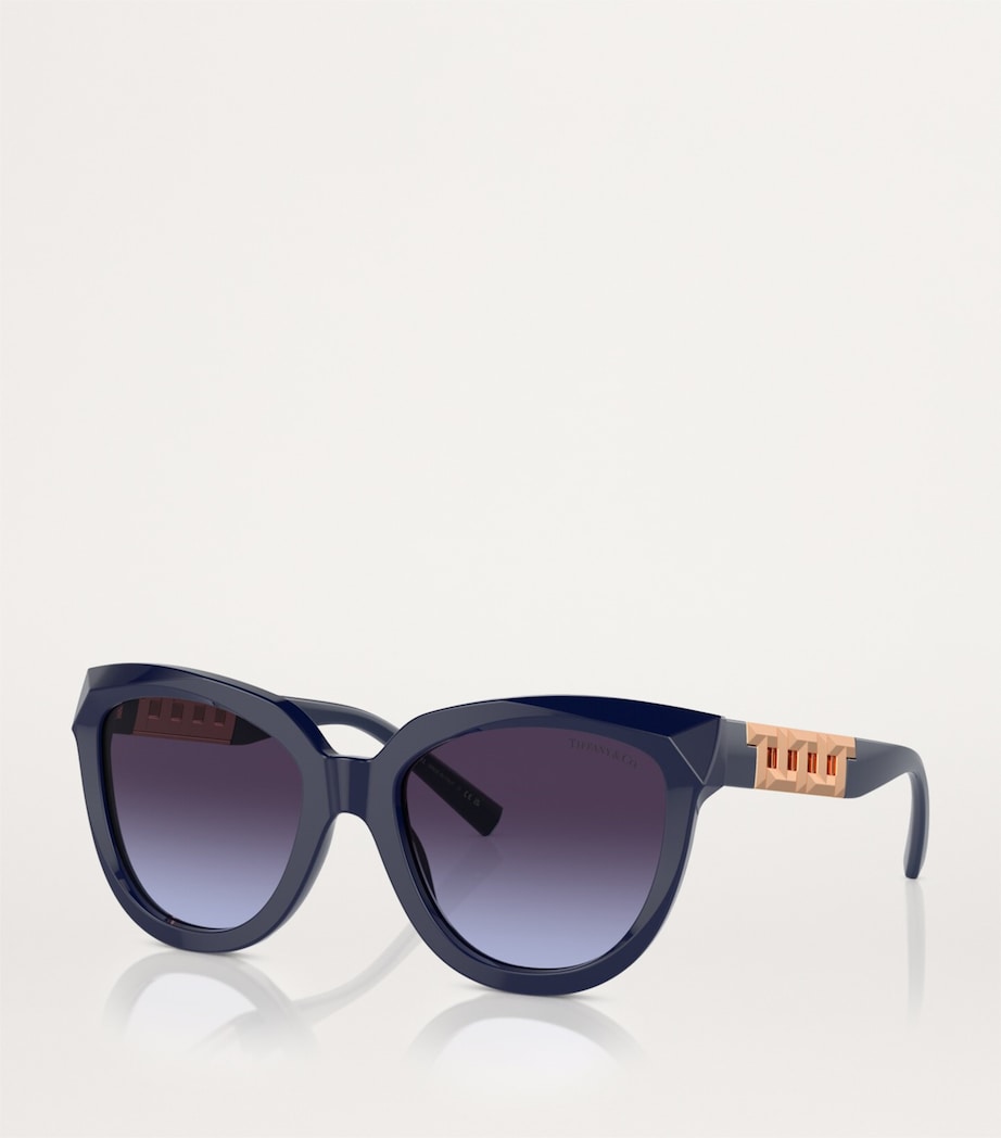 Acetate Cat Eye Sunglasses 83964Q Image 2