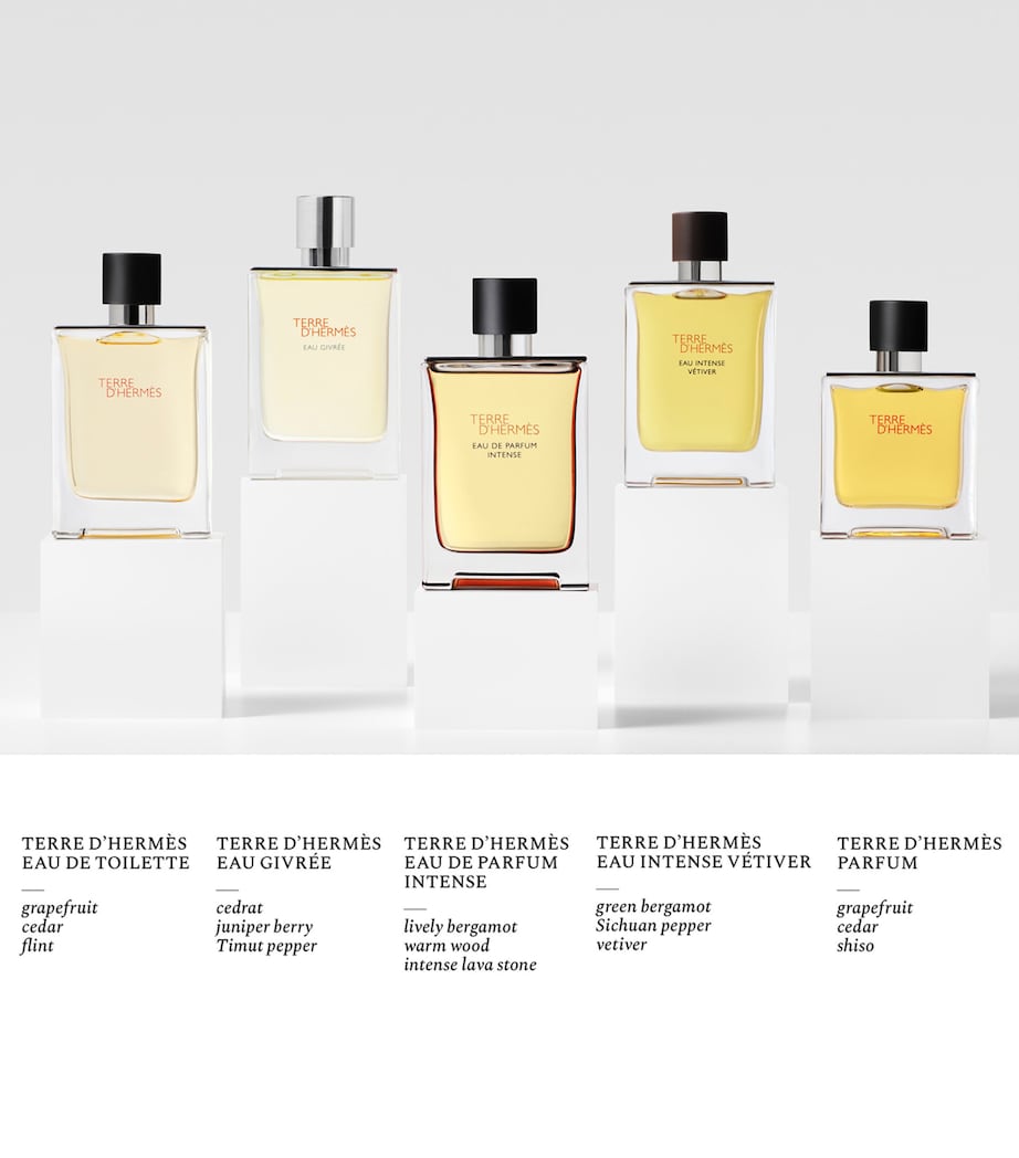 Terre d'Hermès Parfum (200ml) NO COLOUR Image 2