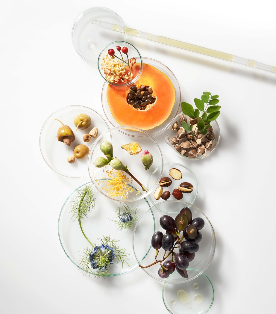 The Elemental Cleansing Balm and Exfoliating Refiner Refill NO COLOUR Image 5