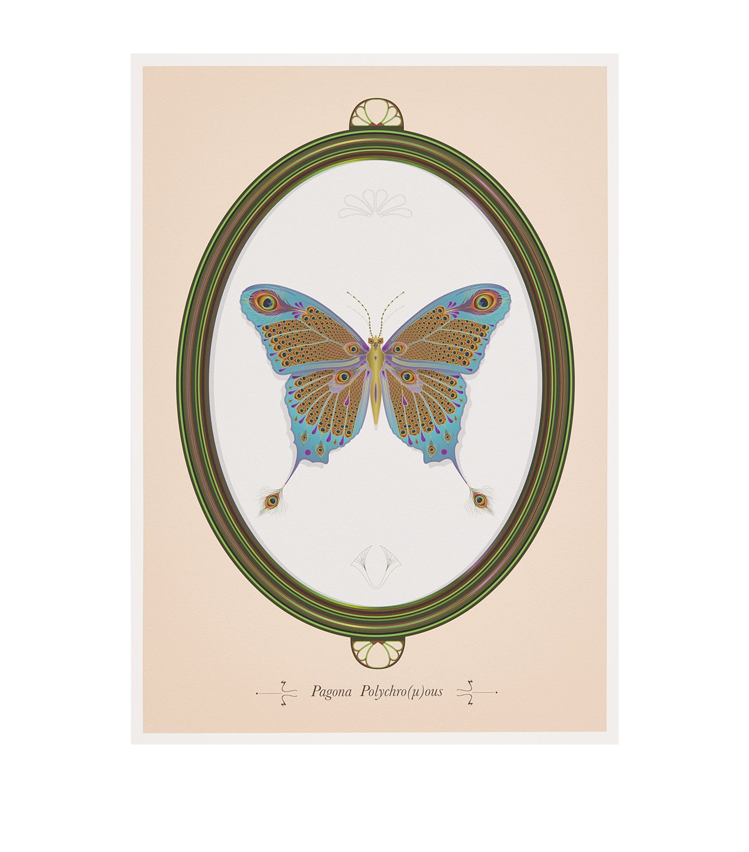Konstantinos Chalaris Curious Collector Butterfly Print