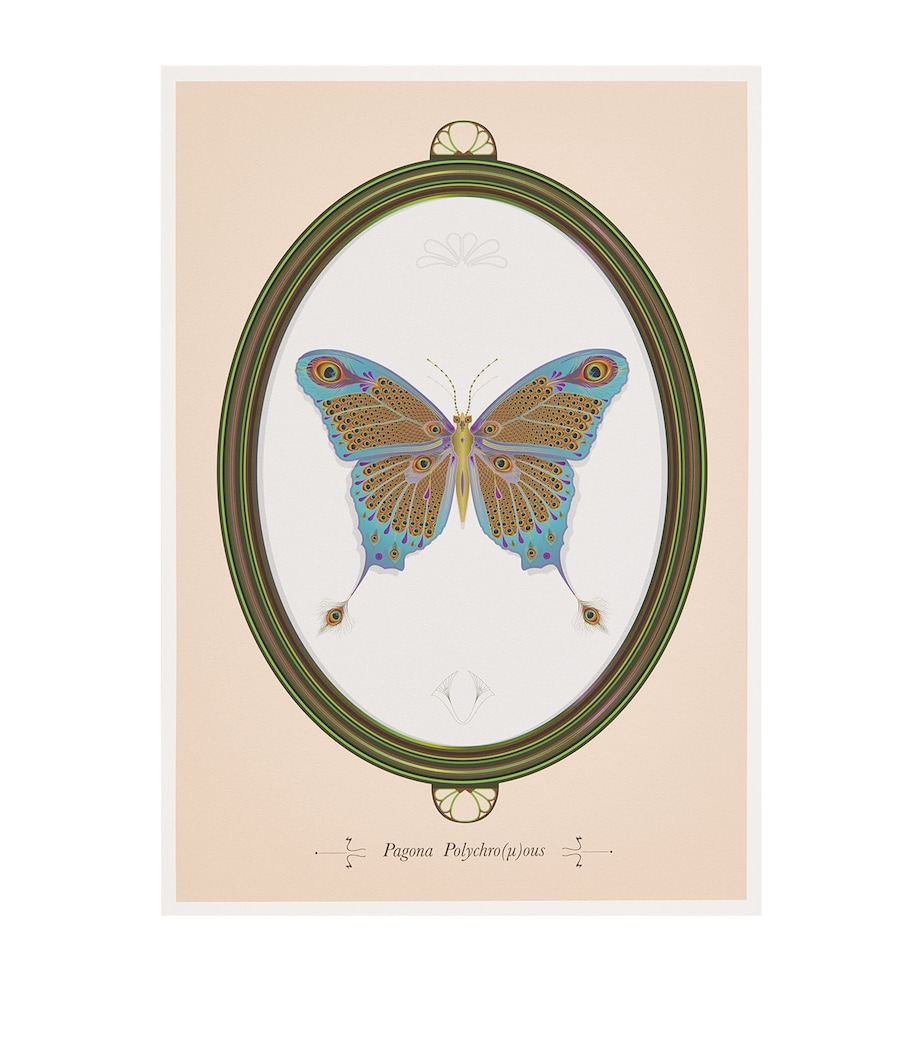 Curious Collector Butterfly Print (42cm x 30cm) MULTI Image 1