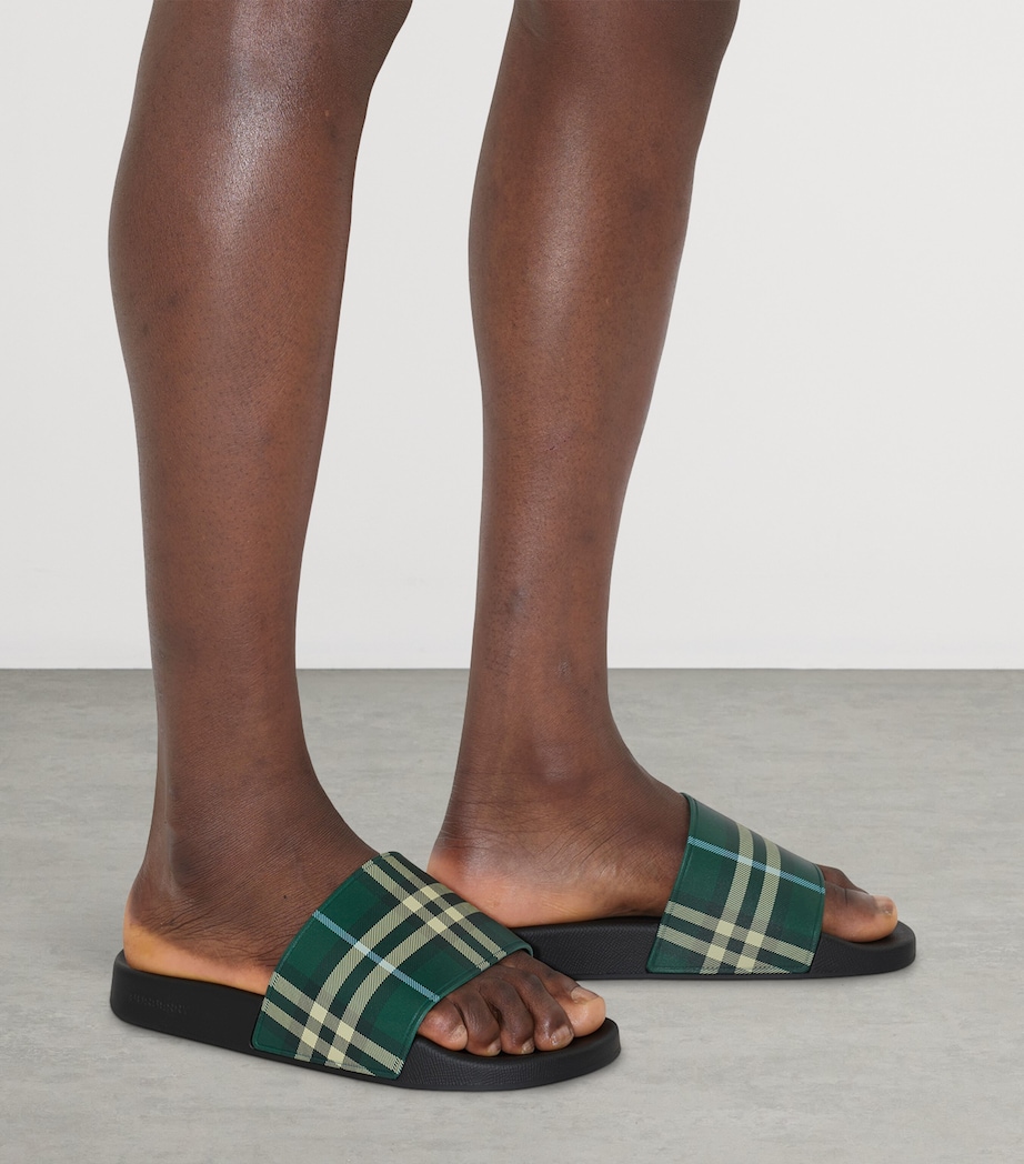 Check Slides LEAF IP CHECK Image 7