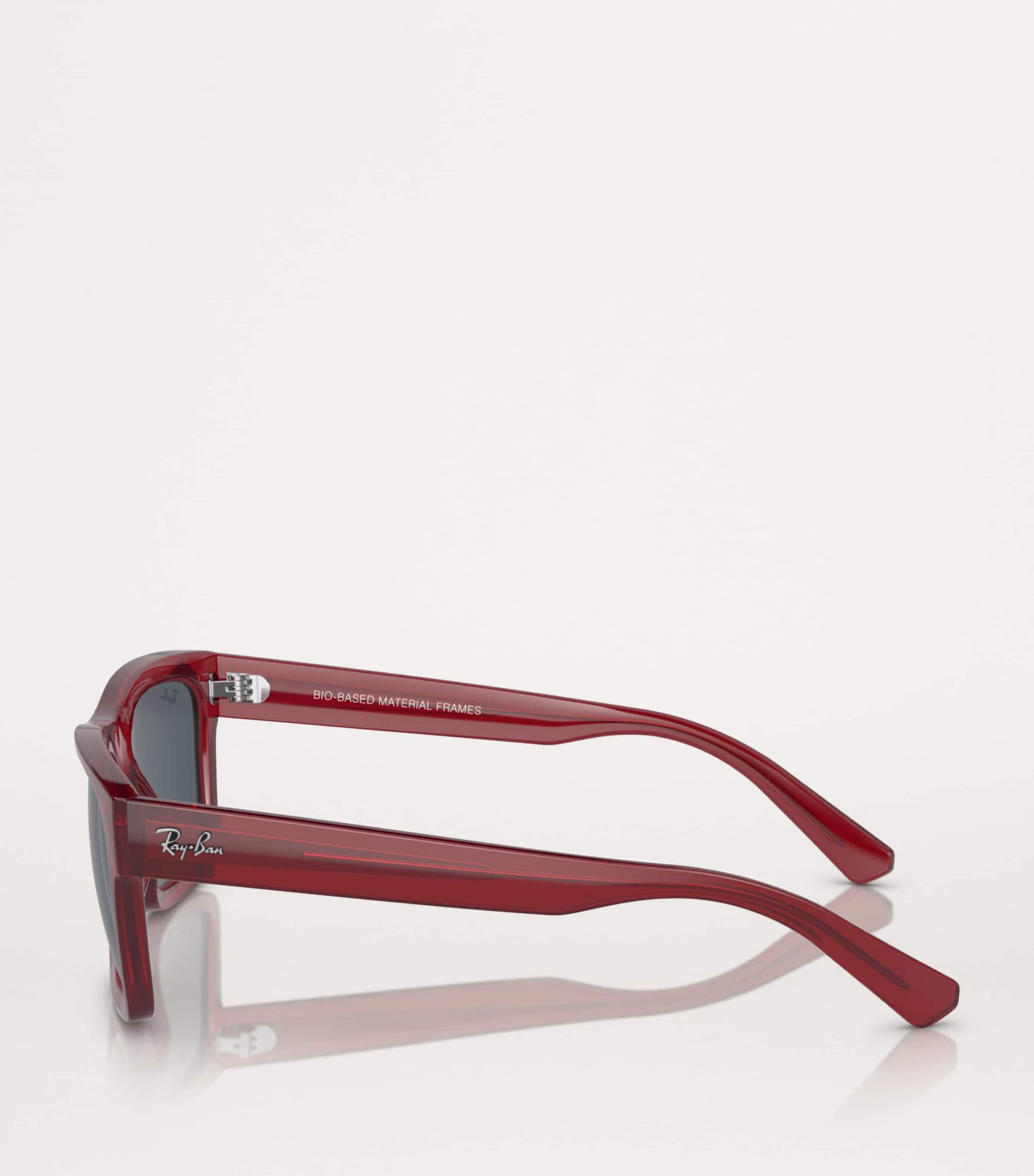 Ray-Ban Acetate 0RB4396 Sunglasses Image 3