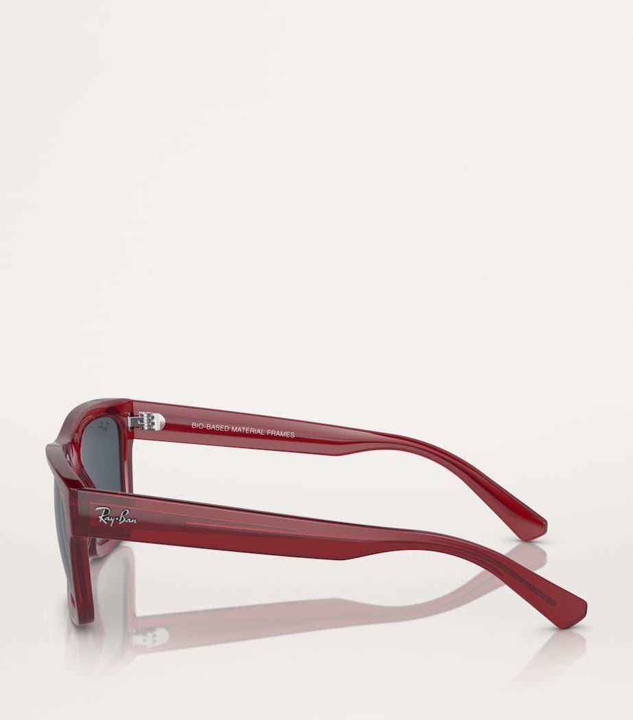 Ray-Ban Acetate 0RB4396 Sunglasses Image 3