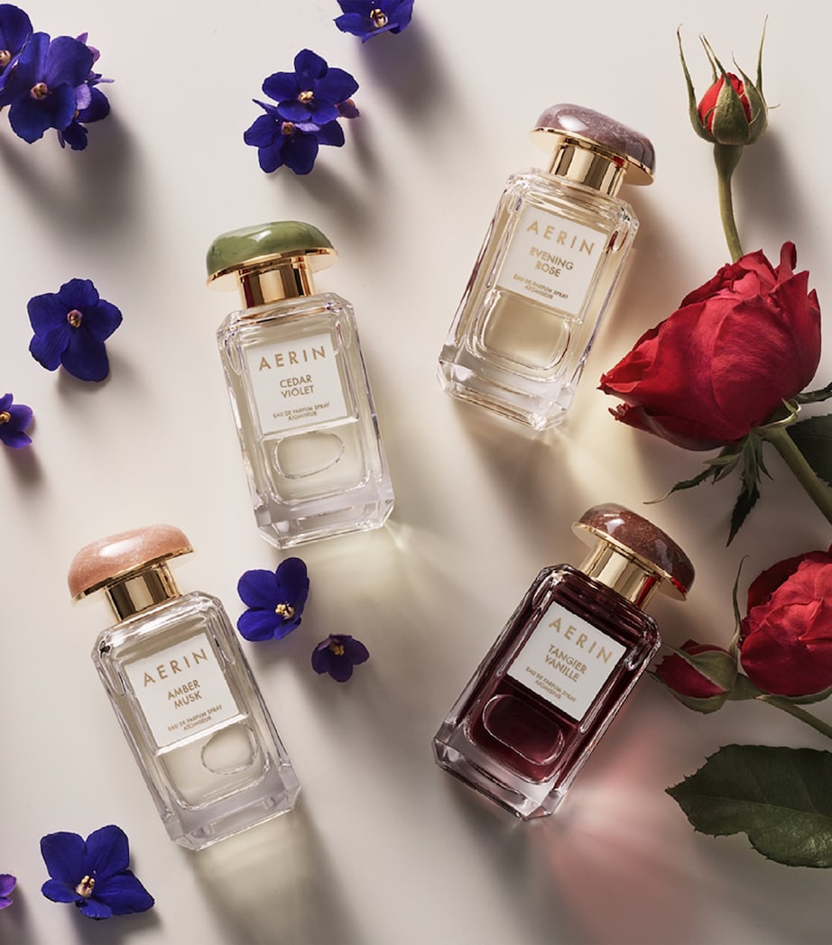 Cedar Violet Eau de Parfum (50ml) NO COLOUR Image 5