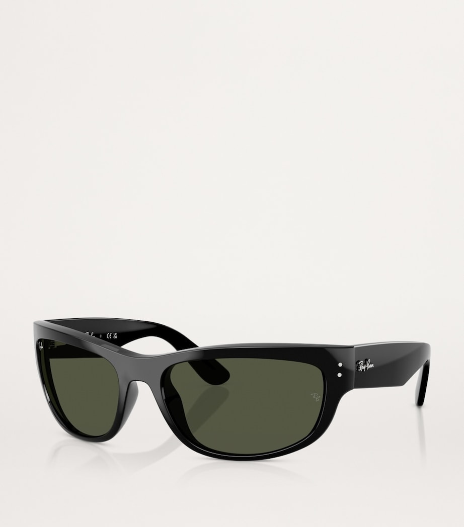 RB2289 Mega Balorama Sunglasses 901/31 Image 2