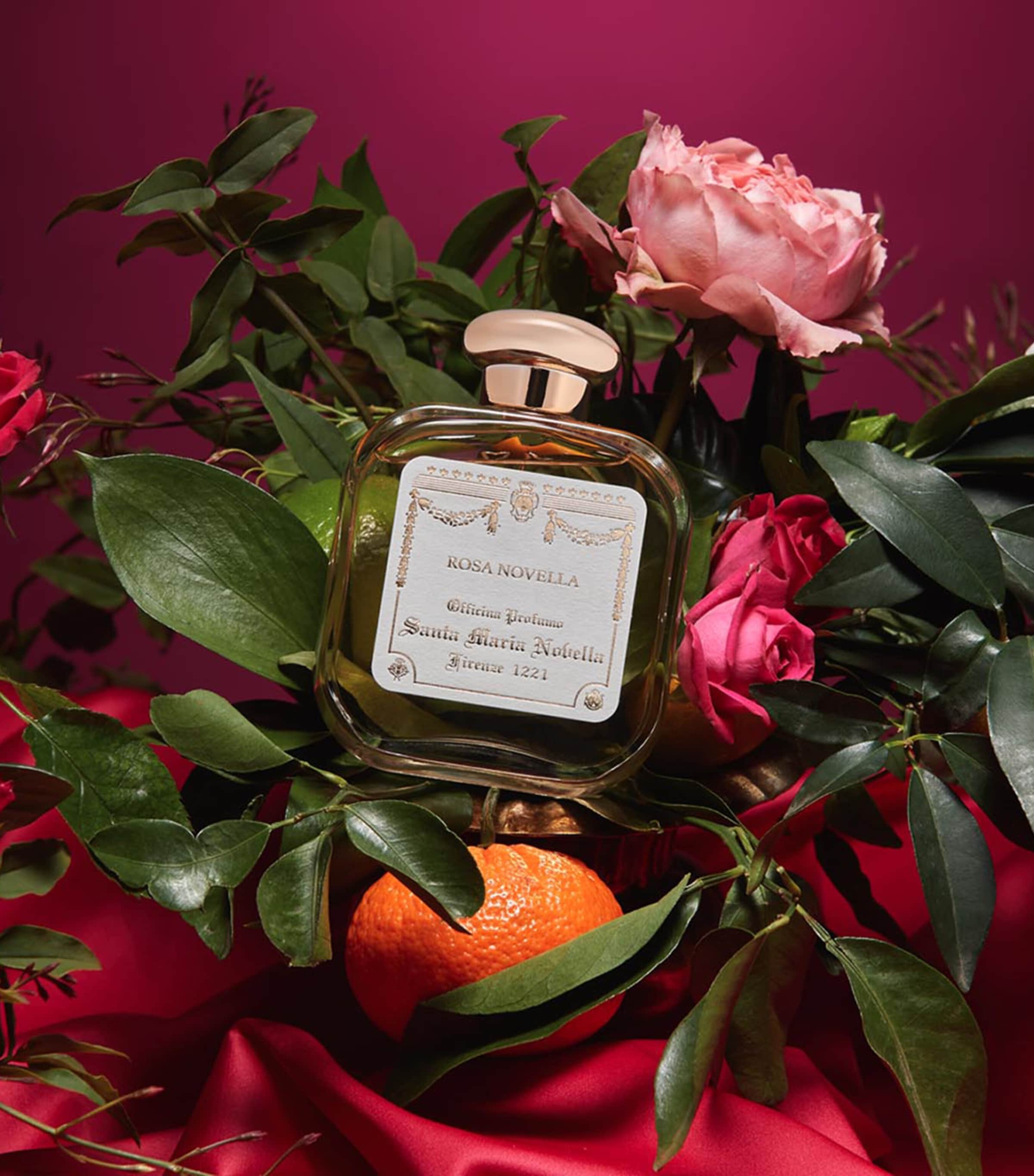 香水(ユニセックス) Rosa Novella Santa Maria Novella 100ml SANTA MARIA NOVELLA Rosa Novella Eau de Cologne (100ml