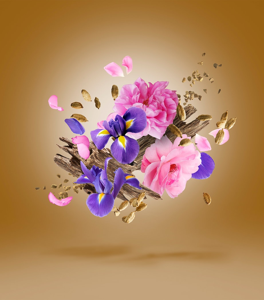 Alexandria II Anniversary Eau de Parfum (100ml) NO COLOUR Image 3